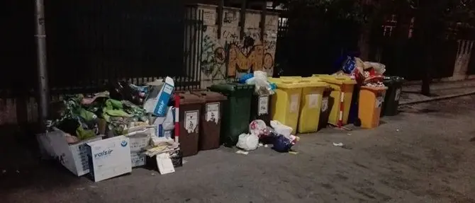 Catanzaro, abbandono rifiuti: diffidata una ditta