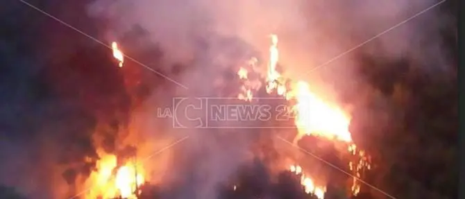 Incendio a Lamezia, le fiamme verso San Minà