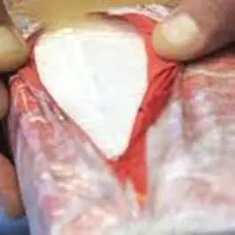 Maxi-sequestro di cocaina al Porto di Gioia Tauro, rinvenuti 220 chili di droga (VIDEO)