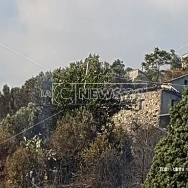 Fiamme lambiscono centro abitato, paura nel Catanzarese