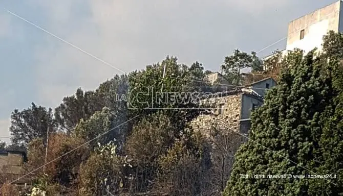 Fiamme lambiscono centro abitato, paura nel Catanzarese