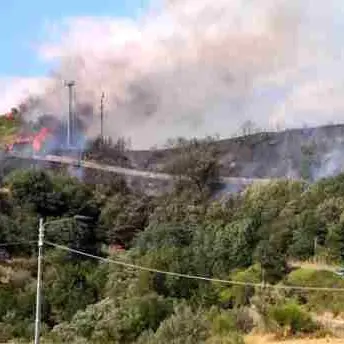 Vasto incendio in località Piterà a Catanzaro, evacuate abitazioni