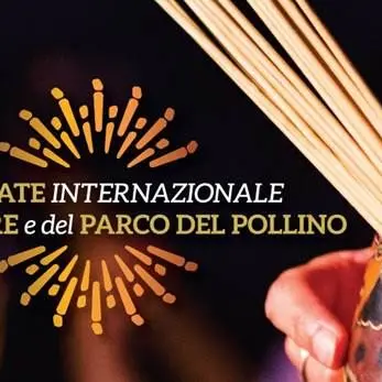 Castrovillari si riapre a “L’estate internazionale del Folklore e del Parco del Pollino”