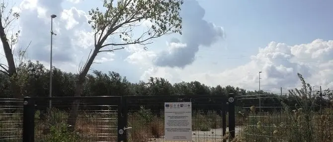 Parco Archeologico di Terina, a breve l'avviso per l'affidamento ad un'Ati