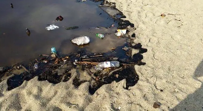 Nuovamente inquinato il “canalone dei veleni” a San Ferdinando