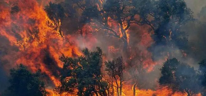 Nel Cosentino ancora fiamme, situazione grave ma sotto controllo