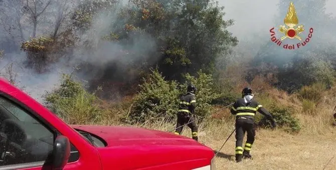 La Calabria nella morsa delle fiamme, il sindaco di Rose: «Brucia l’intero paese»