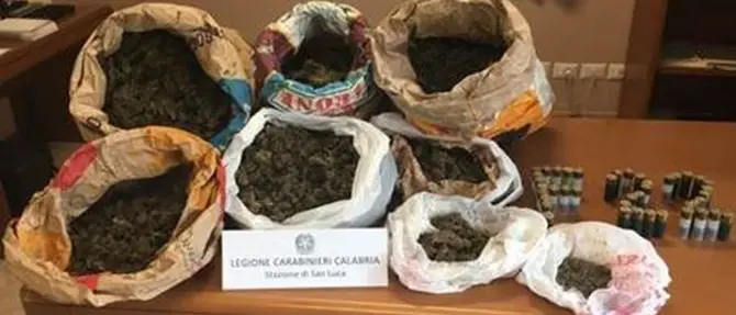 Locride, ritrovati nove chilogrammi di marijuana