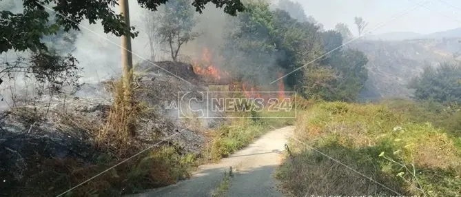 Lamezia, bloccata nell’auto in un incendio: attimi di terrore per una donna
