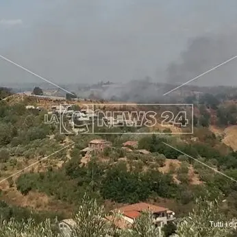 Emergenza incendi nel Cosentino, traffico bloccato tra Altilia e Rogliano