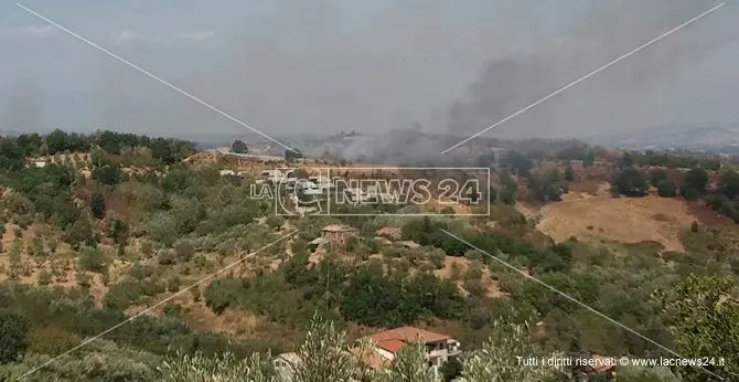 Emergenza incendi nel Cosentino, traffico bloccato tra Altilia e Rogliano