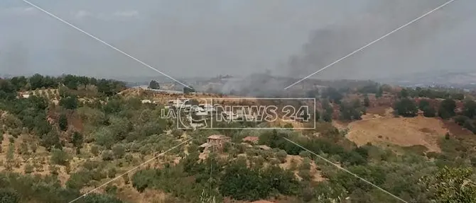Emergenza incendi nel Cosentino, traffico bloccato tra Altilia e Rogliano