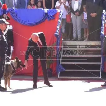 Minniti tranquillizza tutti… anche i cani (VIDEO)