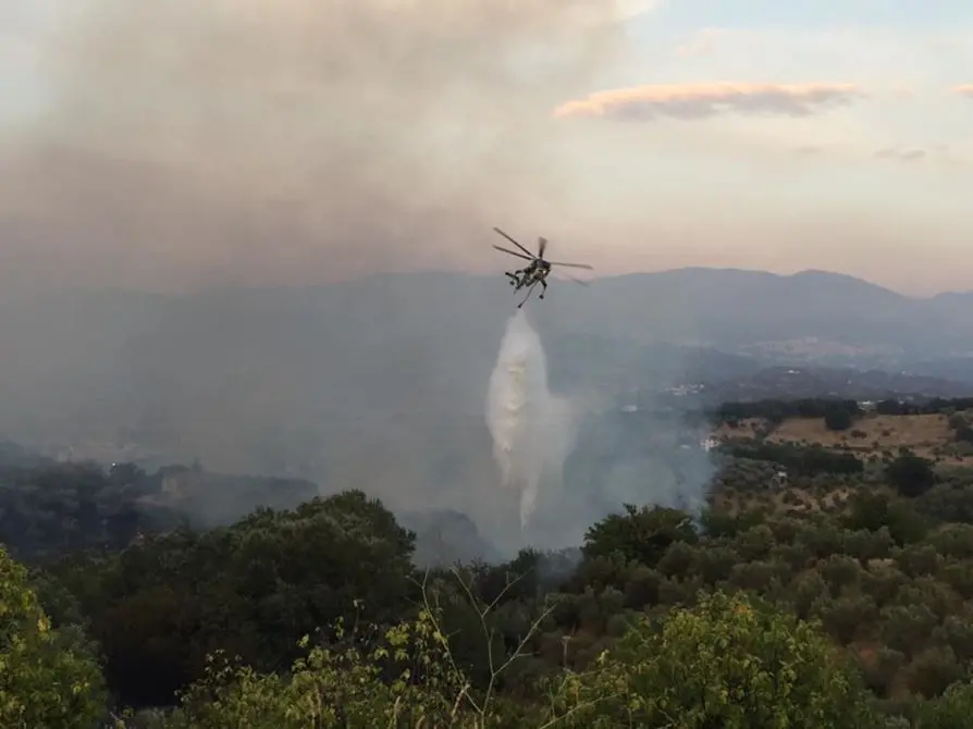 La provincia di Cosenza nella morsa degli incendi