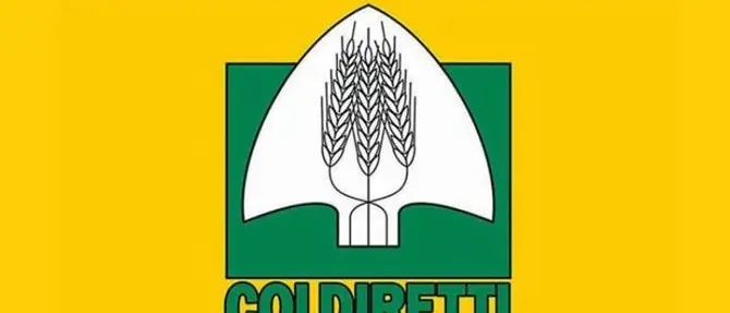 Coldiretti Reggio Calabria, nuovo direttore Pietro Sirianni