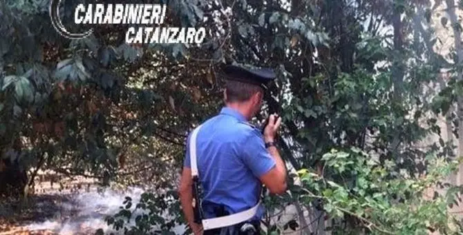 Catanzaro, sorpresa ad appiccare un incendio in villa Margherita: arrestata