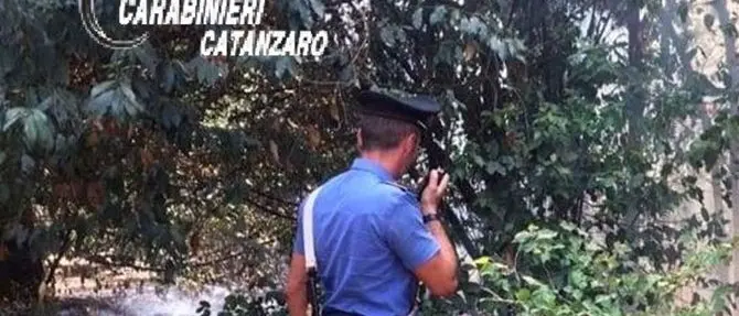 Catanzaro, sorpresa ad appiccare un incendio in villa Margherita: arrestata