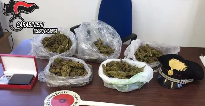 650 grammi di marijuana in casa, un arresto a Reggio