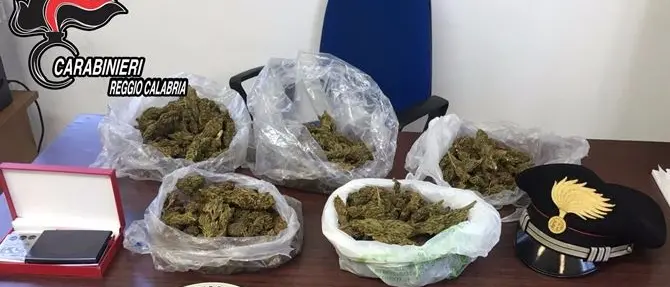 650 grammi di marijuana in casa, un arresto a Reggio