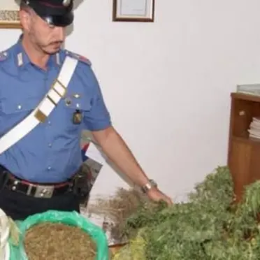 Laboratorio di marijuana a Chiaravalle, arrestato 50enne