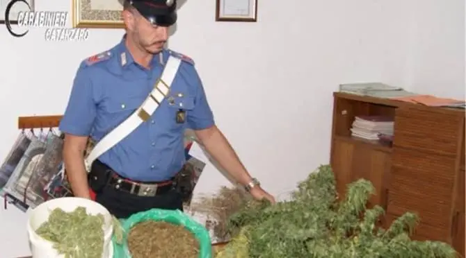 Laboratorio di marijuana a Chiaravalle, arrestato 50enne