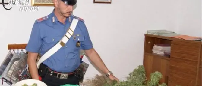 Laboratorio di marijuana a Chiaravalle, arrestato 50enne