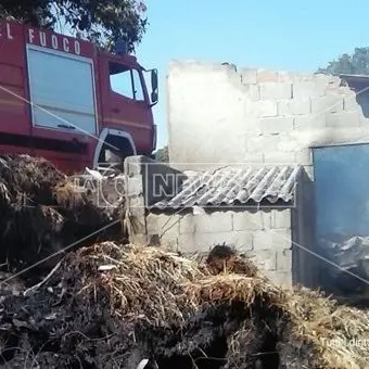Per eliminare nido di vespe appicca un incendio: distrutto un fienile (FOTO)