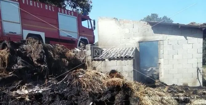 Per eliminare nido di vespe appicca un incendio: distrutto un fienile (FOTO)