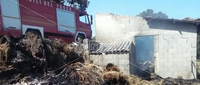 Per eliminare nido di vespe appicca un incendio: distrutto un fienile (FOTO)