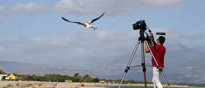 Cosenza, lo spettacolo degli animali selvatici rimessi in libertà