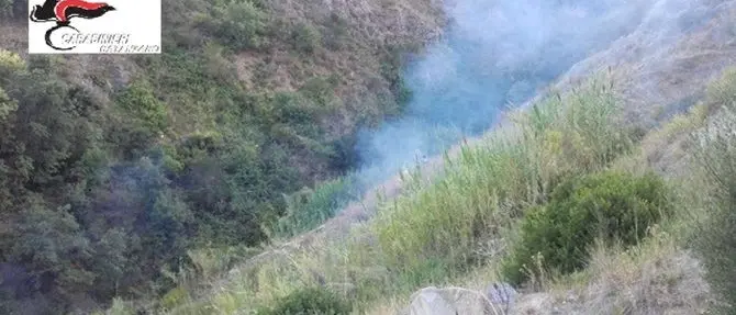 Catanzaro, disposto il rinvio a giudizio per un piromane colto in flagranza