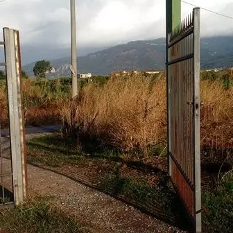 Lamezia, ennesimo danneggiamento alla cooperativa Le Agricole