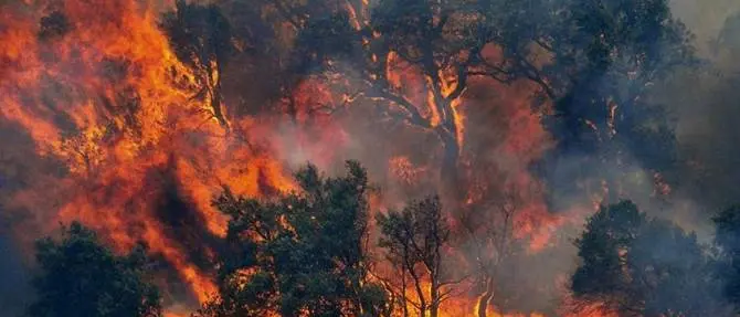 Incendi dolosi, identificati gli autori di un rogo a Gimigliano