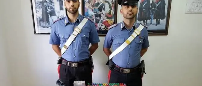 Campana: uccidono ghiri, arrestati