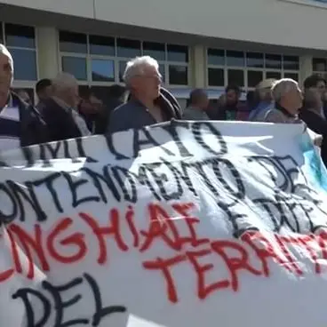 Emergenza cinghiali, gli agricoltori scendono in piazza a Catanzaro (VIDEO)