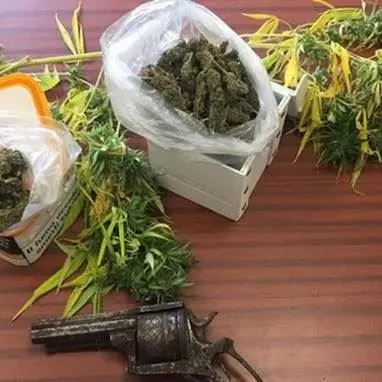 Coltivazione e spaccio di marijuana, un arresto e 3 denunce