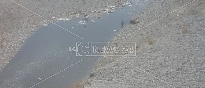Catanzaro Lido, scarichi fognari sulla spiaggia (FOTO)