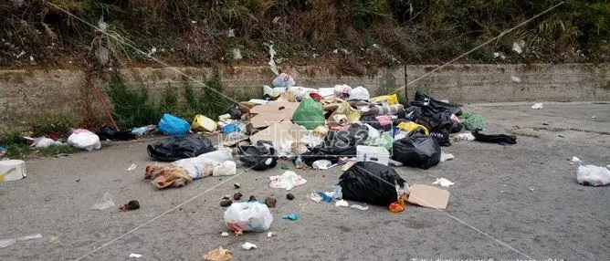 Catanzaro, raccolta differenziata: nel 2016 la percentuale si ferma al 39,83