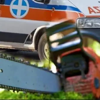Francavilla Marittima, si ferisce con la motosega: muore 16enne
