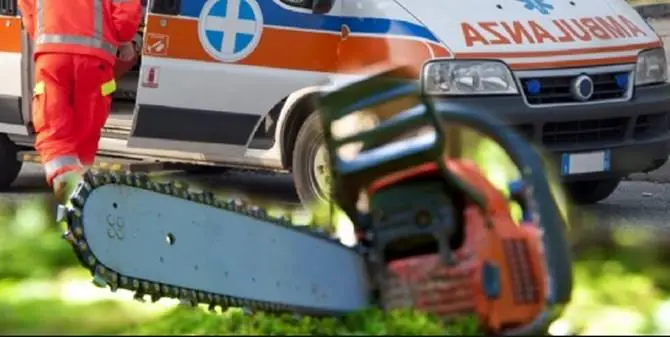 Francavilla Marittima, si ferisce con la motosega: muore 16enne