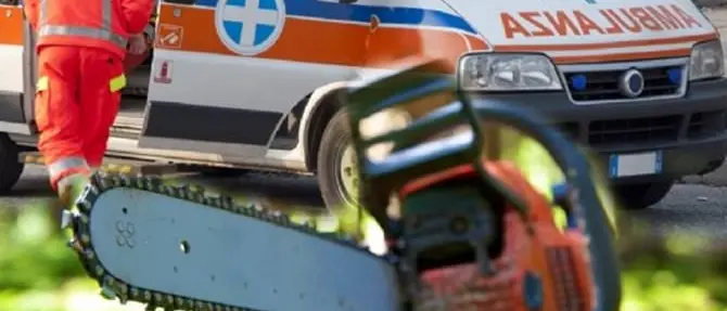 Francavilla Marittima, si ferisce con la motosega: muore 16enne