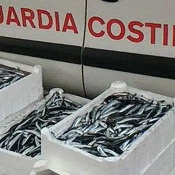Palmi, sequestrati 140chili di pescato