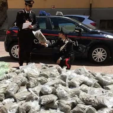 Maxi-sequestro di marijuana e hashish: arrestati coniugi a Palmi