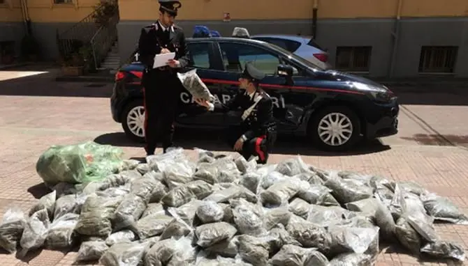 Maxi-sequestro di marijuana e hashish: arrestati coniugi a Palmi