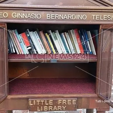 Rischia di naufragare la Little Free Library di Cosenza