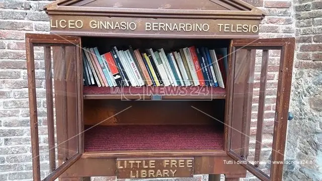 Rischia di naufragare la Little Free Library di Cosenza