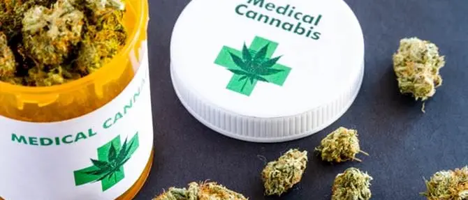 “Si a cannabis terapeutica primo passo verso legalizzazione”