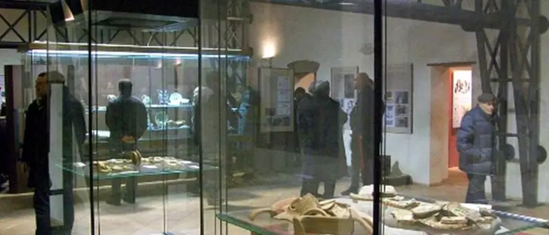 La guerra dei reperti preistorici: «Il museo di Lamezia li restituisca a Vibo»