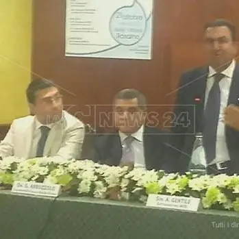 ZES, Gentile: 'Possibilità di estenderla a tutta la Regione' (VIDEO)