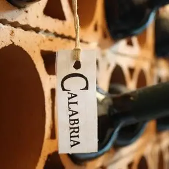Sei vini calabresi al vertice dell'eccellenza enologica italiana